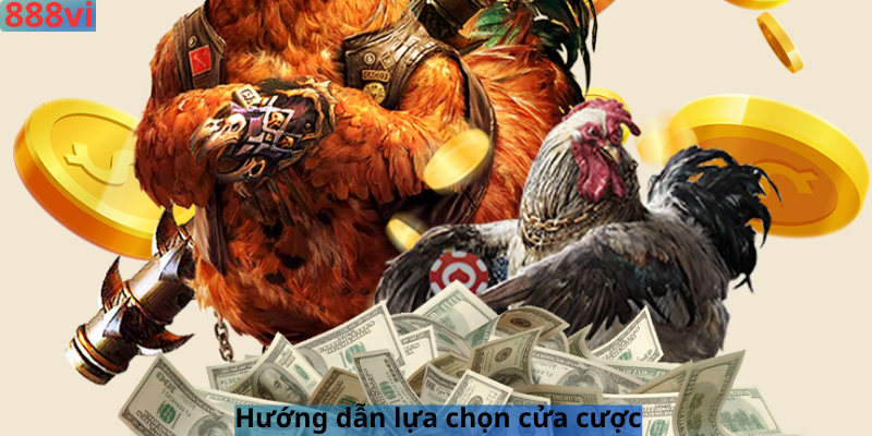 Hướng dẫn lựa chọn cửa cược